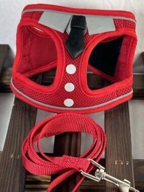 Cat Harness and Leash‎ Set for Walking Escape Proof
